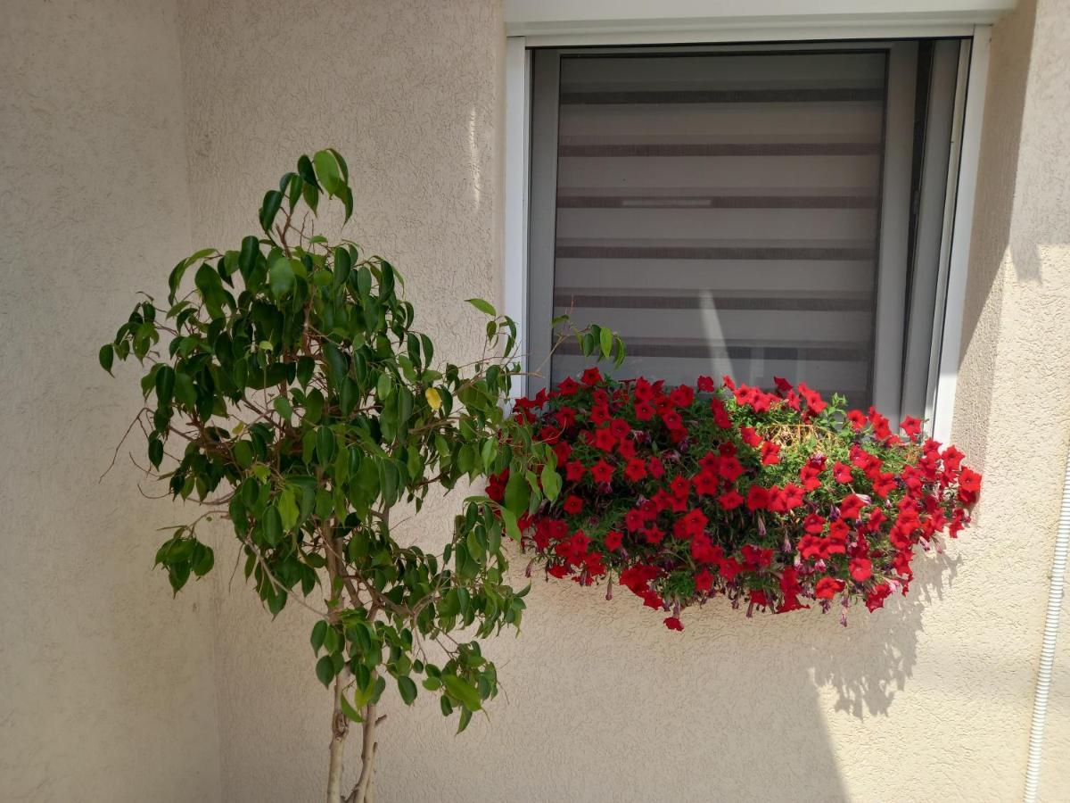 Leda Apartmani Smederevo Buitenkant foto
