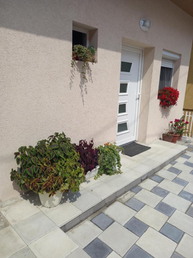Leda Apartmani Smederevo Buitenkant foto