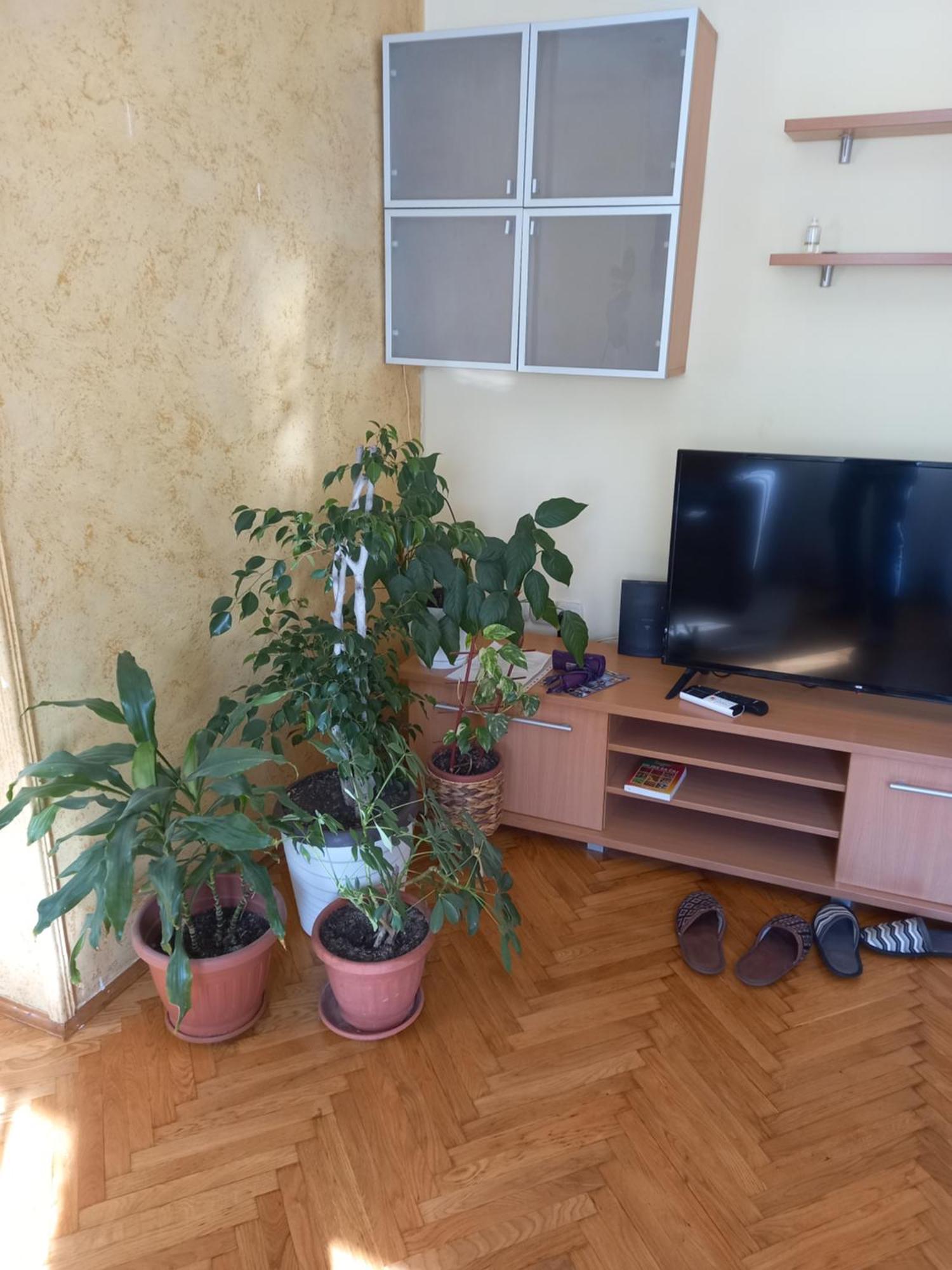 Leda Apartmani Smederevo Buitenkant foto