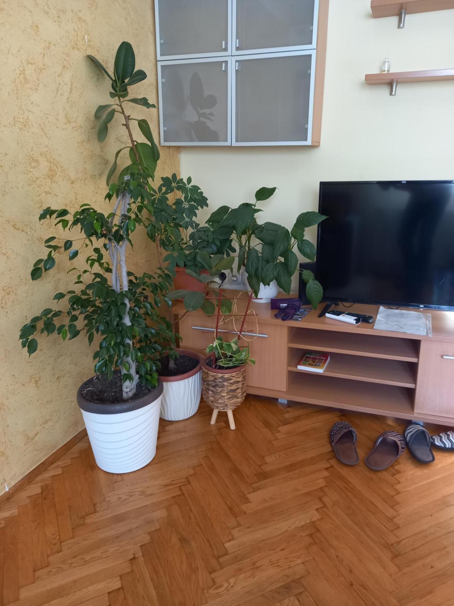 Leda Apartmani Smederevo Kamer foto