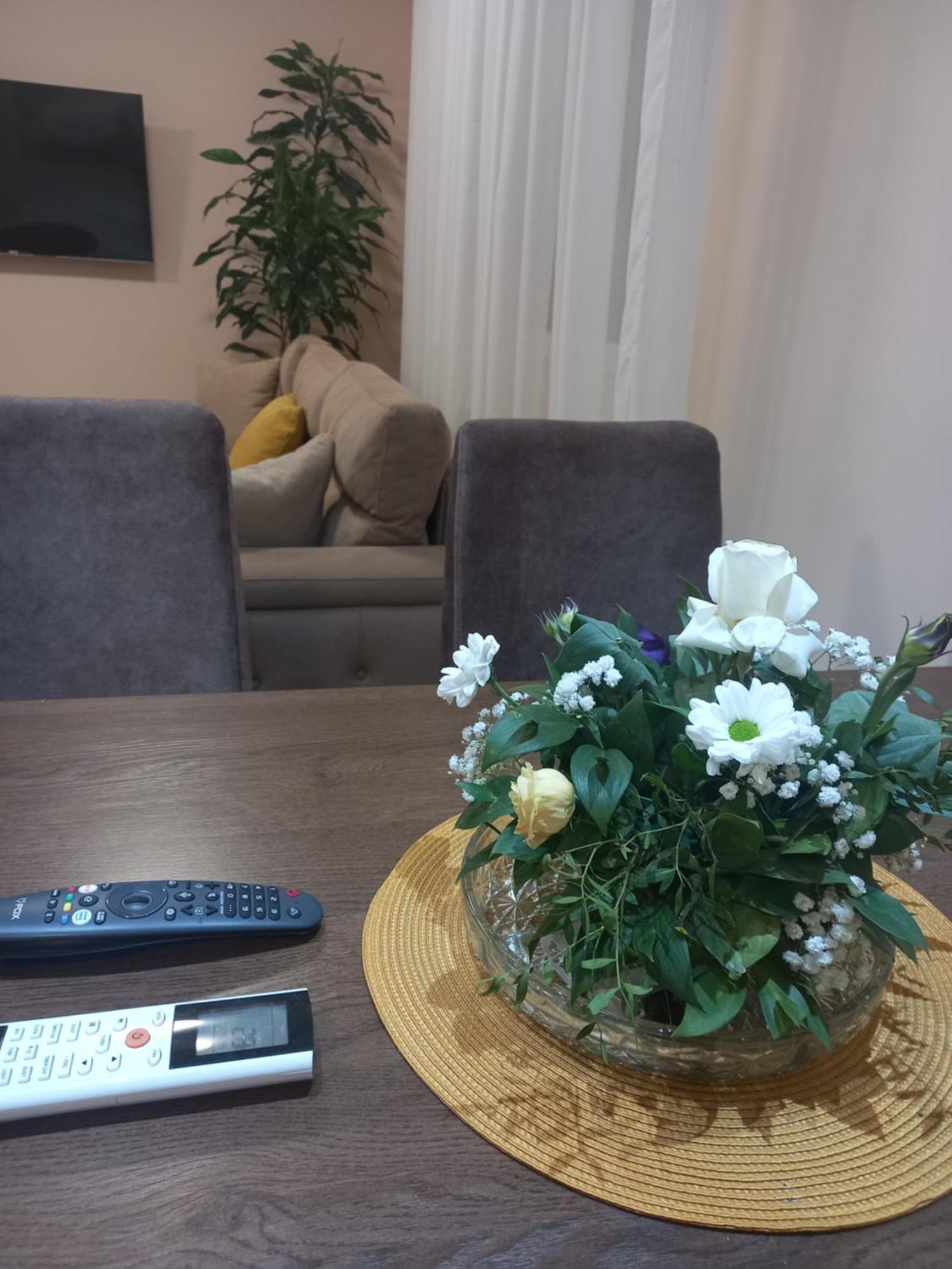 Leda Apartmani Smederevo Kamer foto